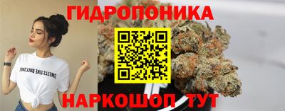 стаф Будённовск