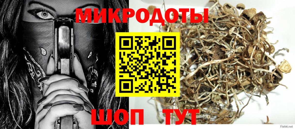 Малоярославец  купить   Вход с VPN  Псилоцибиновые грибы GOLDEN TEACHER 